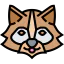 Racoon icon 64x64