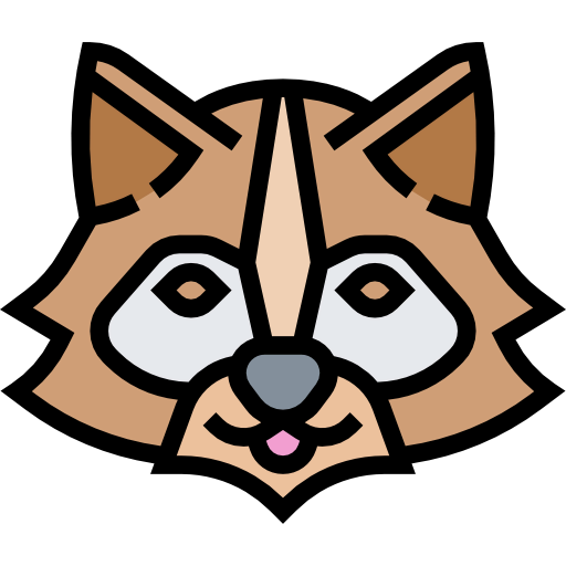 Racoon icon