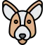 Kangaroo icon 64x64