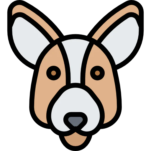 Kangaroo icon