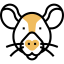 Rat icon 64x64