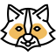 Racoon icon 64x64