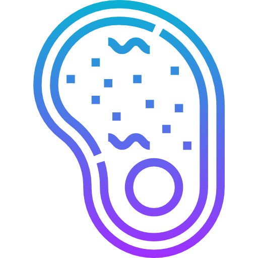 Steak icon