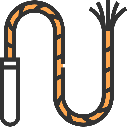 Whip icon