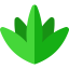 Agave icon 64x64