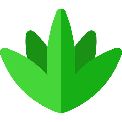 Agave icon