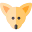Chihuahua icon 64x64