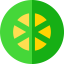 Lime icon 64x64