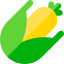 Maize icon 64x64