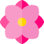 Dalia icon 64x64