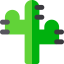 Cactus icon 64x64