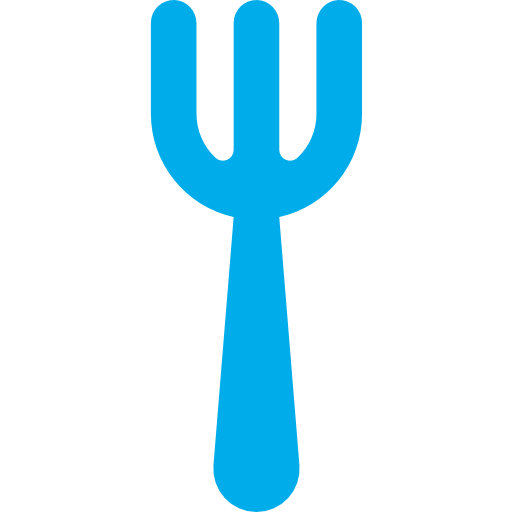 Fork icon