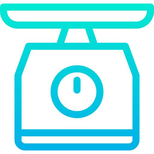 Scale icon