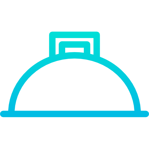 Dish icon