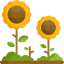 Flowers icon 64x64