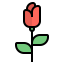 Rose icon 64x64