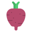Beetroot icon 64x64