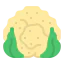 Cauliflower icon 64x64