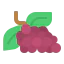 Grapes icon 64x64