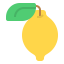 Lemon icon 64x64