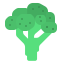 Broccoli icon 64x64