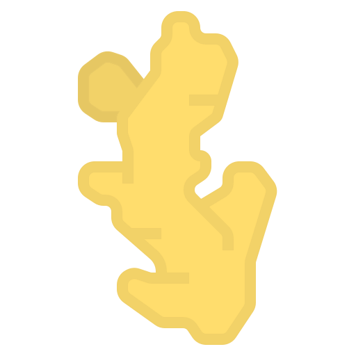 Ginger icon