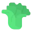 Lettuce icon 64x64