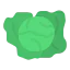 Cabbage icon 64x64