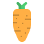Carrot icon 64x64