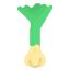 Scallion icon 64x64
