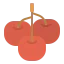 Cherry icon 64x64