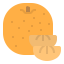 Orange icon 64x64
