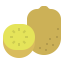 Kiwi icon 64x64