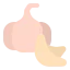 Garlic icon 64x64