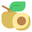 Fruit icon 64x64