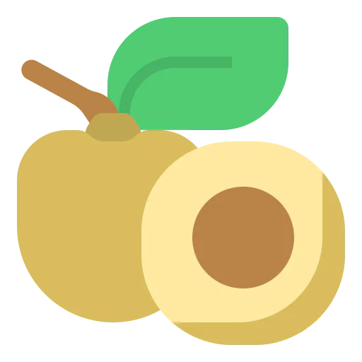 Fruit icon