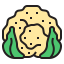 Cauliflower icon 64x64