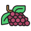 Grapes icon 64x64