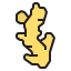 Ginger icon 64x64