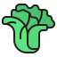 Lettuce icon 64x64