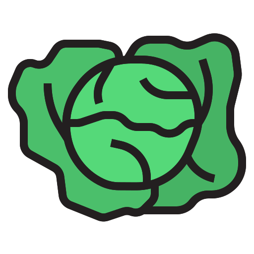 Cabbage icon