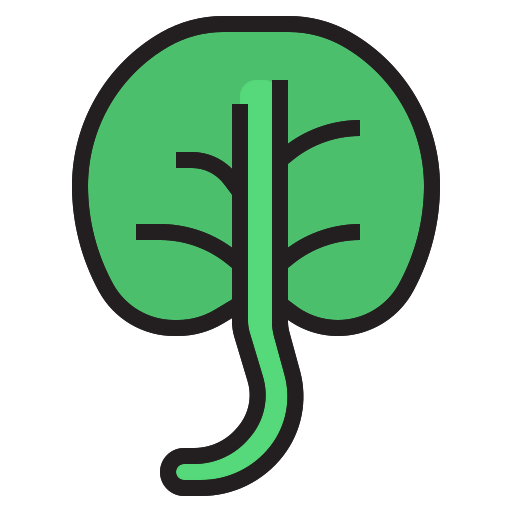 Spinach icon