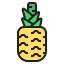 Pineapple icon 64x64