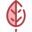Leaf icon 64x64
