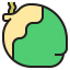 Coconut icon 64x64