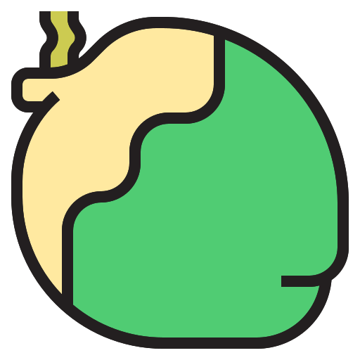 Coconut icon