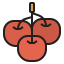 Cherry icon 64x64