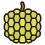 Custard apple 상 64x64
