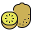 Kiwi icon 64x64