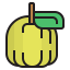 Guava icon 64x64